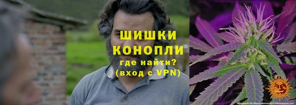 экстази Арсеньев