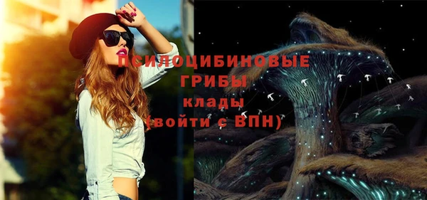 экстази Арсеньев